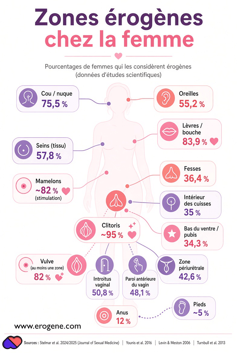 Illustration des principales zones érogènes féminines, avec les pourcentages de femmes qui les considèrent érogènes selon plusieurs études